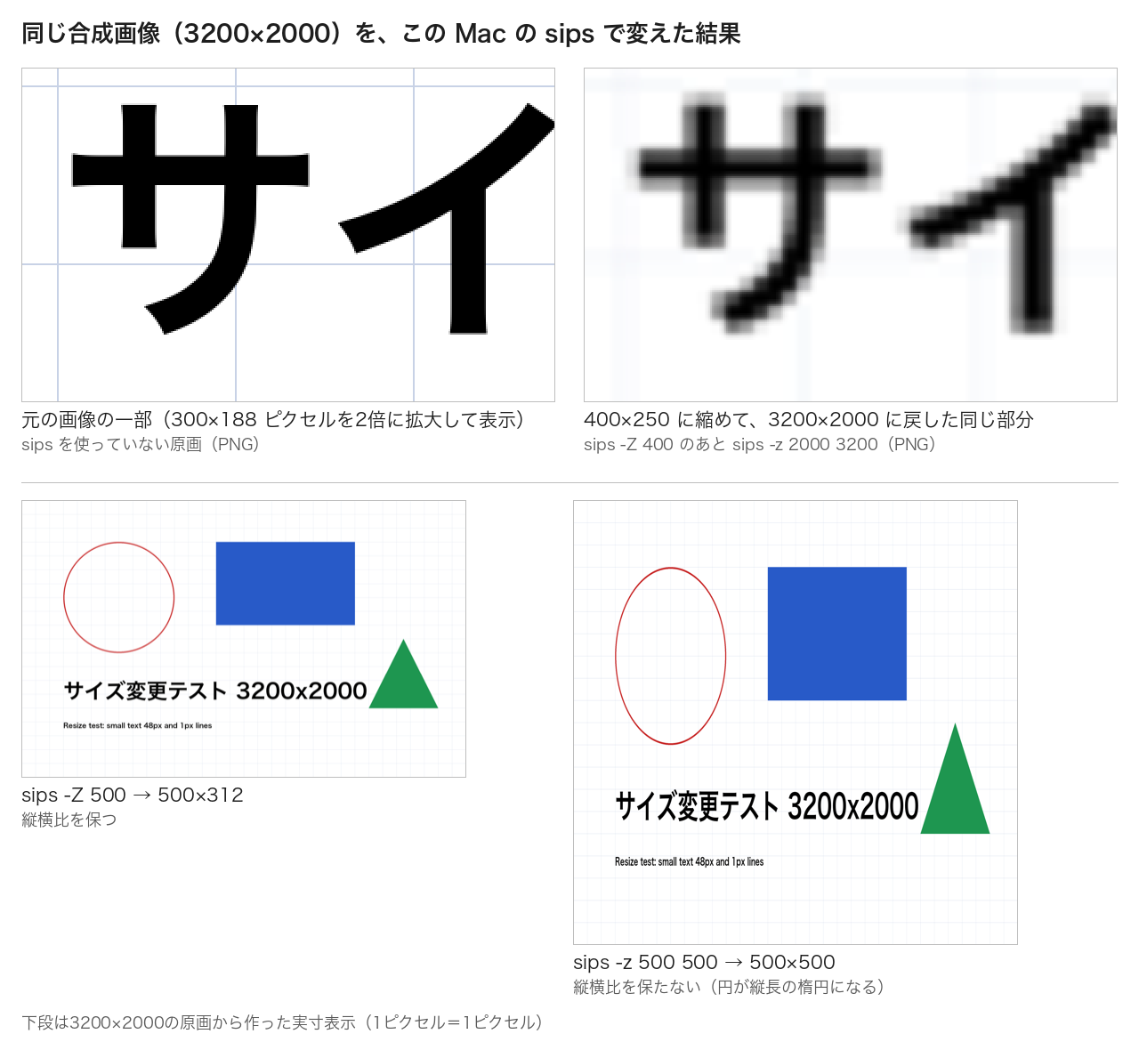 同じ合成画像を縮めて戻した時の細部と、縦横比を保った縮小・保たない縮小の比較