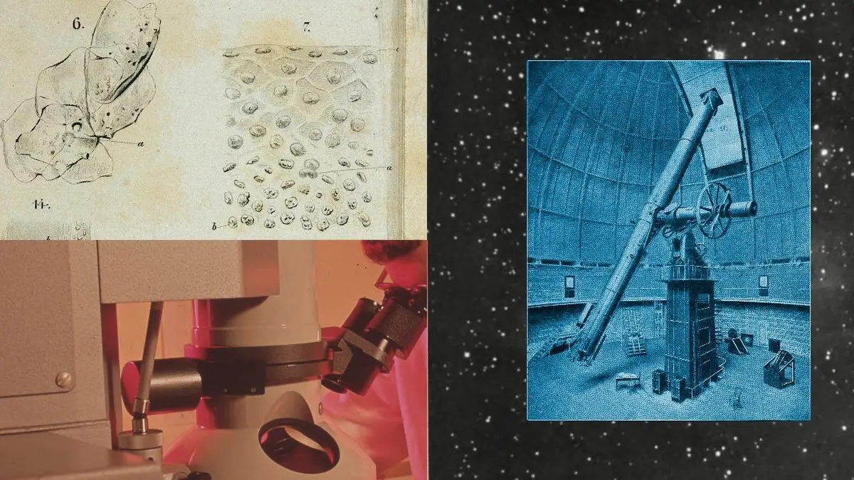 Anthropic(アンスロピック)、AI for Scienceを財団・研究機関に拡大──米NSF、Sanger研究所、EMBLなどにClaude(クロード)の無料クレジットを提供